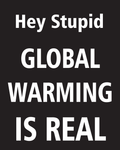 Hey Stupid GLOBAL WARMING IS REAL