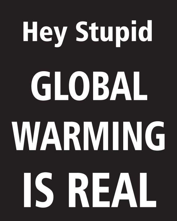 Hey Stupid GLOBAL WARMING IS REAL