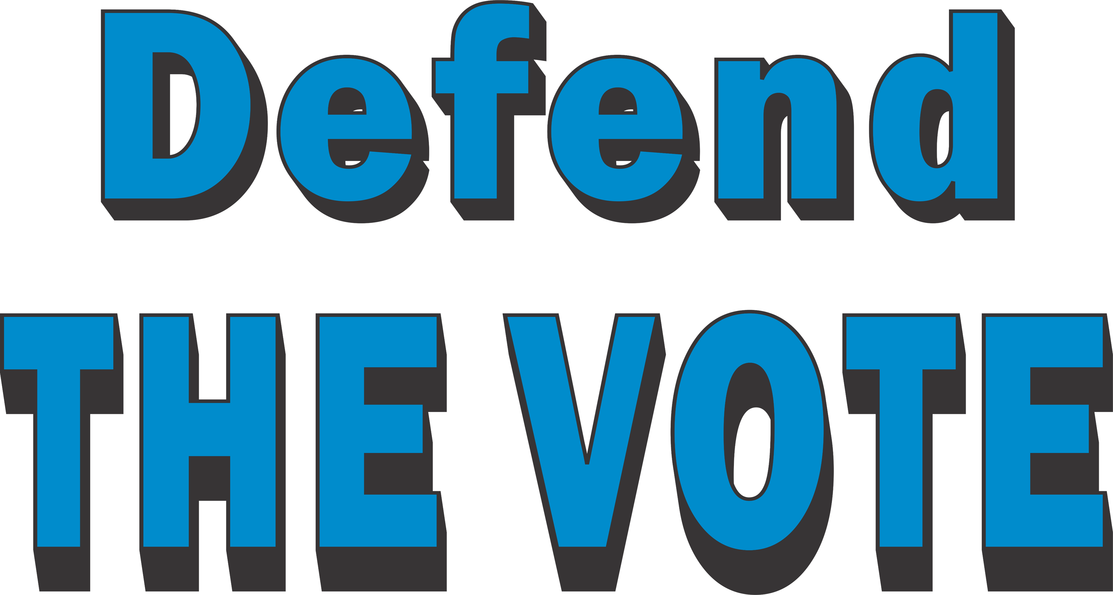 Defend The Vote